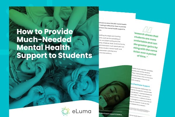 How to Provide Mental Health Support to Students White Paper