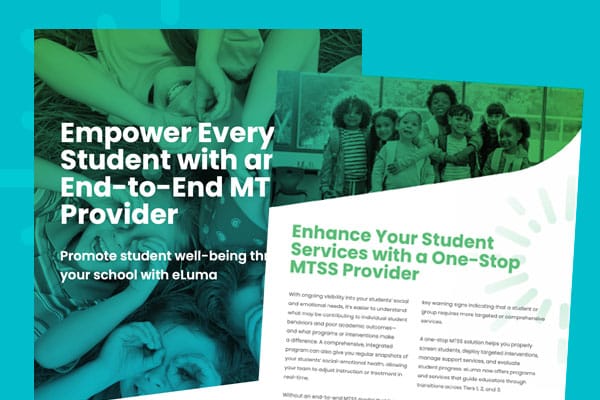 school district mtss support provider